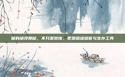 猫的胡须奥秘，不只是装饰，更是超级感官与生存工具
