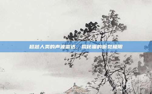 超越人类的声波雷达，揭秘猫的听觉极限