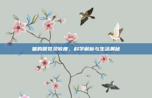 猫的嗅觉灵敏度，科学解析与生活奥秘