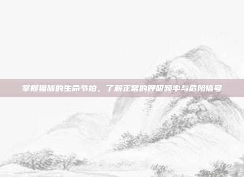 掌握猫咪的生命节拍，了解正常的呼吸频率与危险信号