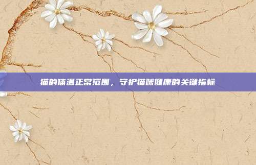 猫的体温正常范围，守护猫咪健康的关键指标