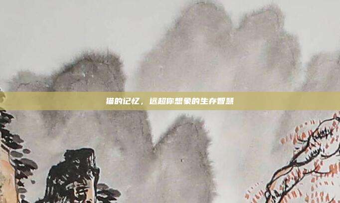 猫的记忆，远超你想象的生存智慧