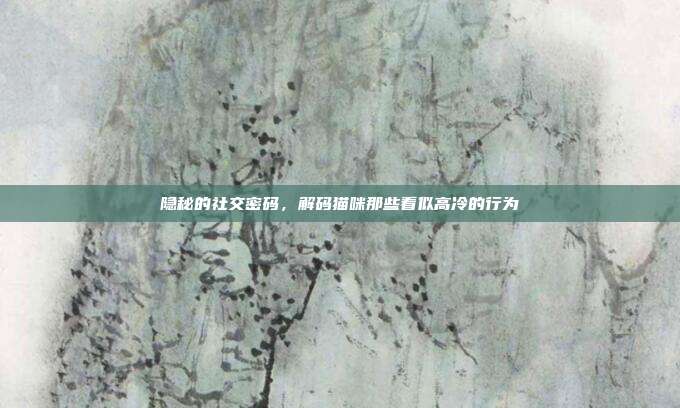 隐秘的社交密码，解码猫咪那些看似高冷的行为
