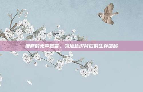 猫咪的无声宣言，领地意识背后的生存密码