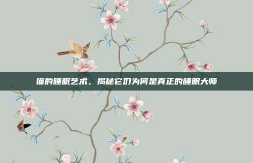 猫的睡眠艺术，揭秘它们为何是真正的睡眠大师