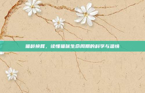 猫龄换算，读懂猫咪生命周期的科学与温情