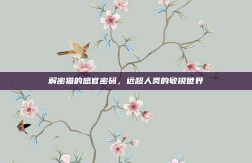 解密猫的感官密码，远超人类的敏锐世界