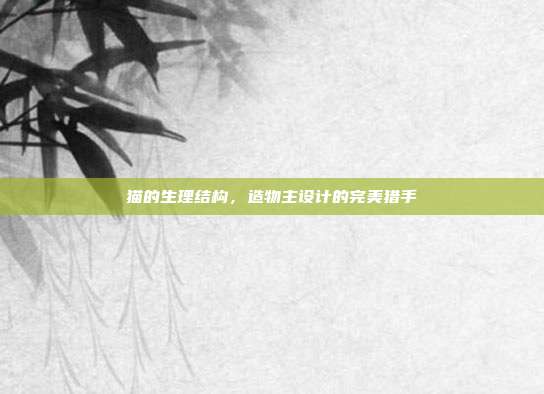 猫的生理结构，造物主设计的完美猎手