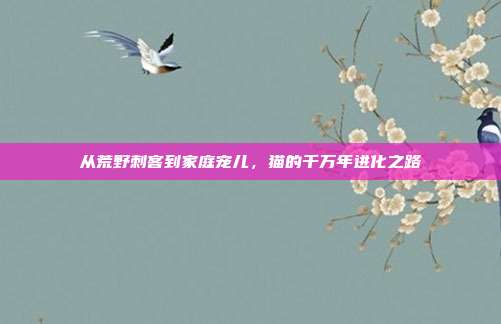 从荒野刺客到家庭宠儿，猫的千万年进化之路