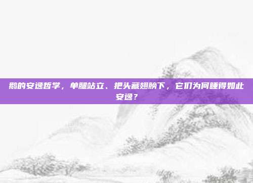 鹅的安逸哲学，单腿站立、把头藏翅膀下，它们为何睡得如此安逸？