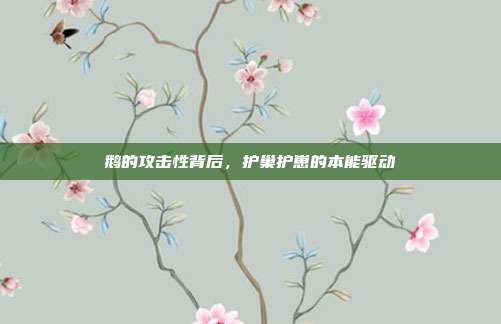 鹅的攻击性背后，护巢护崽的本能驱动