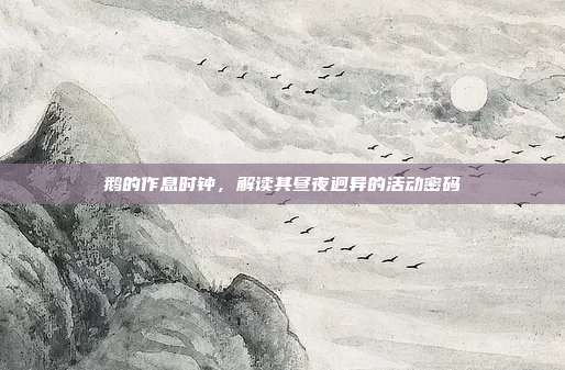 鹅的作息时钟，解读其昼夜迥异的活动密码