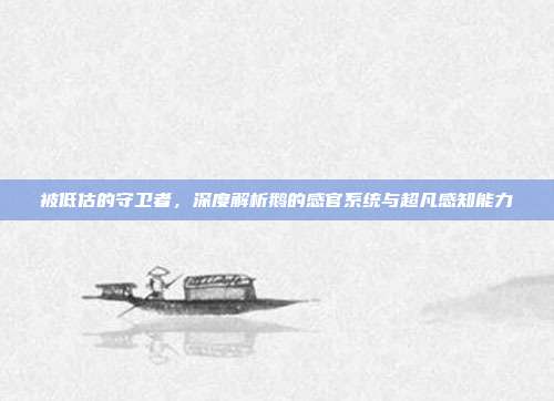 被低估的守卫者，深度解析鹅的感官系统与超凡感知能力