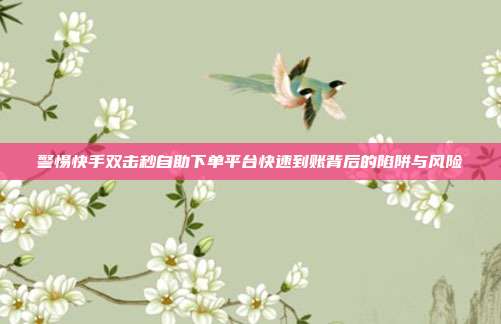 警惕快手双击秒自助下单平台快速到账背后的陷阱与风险