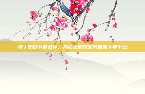 快手热浪下的选择，揭秘正规赞业务自助下单平台