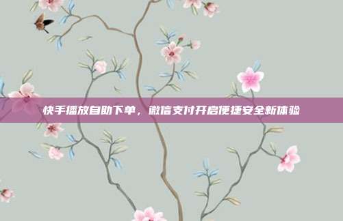 快手播放自助下单，微信支付开启便捷安全新体验