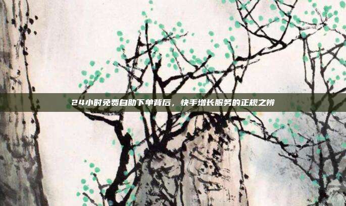 24小时免费自助下单背后，快手增长服务的正规之辨