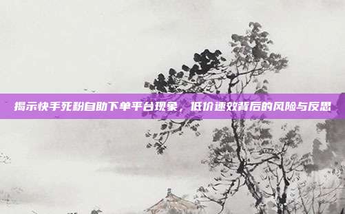 揭示快手死粉自助下单平台现象，低价速效背后的风险与反思