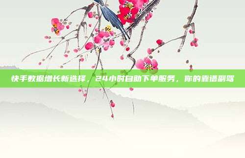 快手数据增长新选择，24小时自助下单服务，你的靠谱副驾