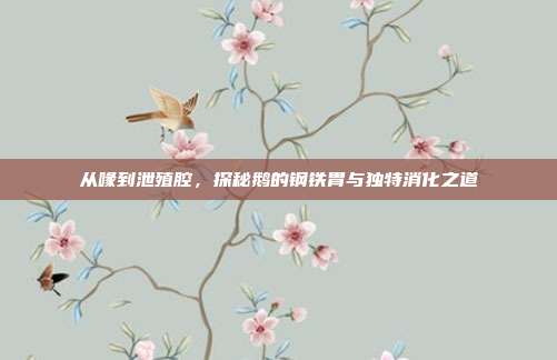 从喙到泄殖腔，探秘鹅的钢铁胃与独特消化之道