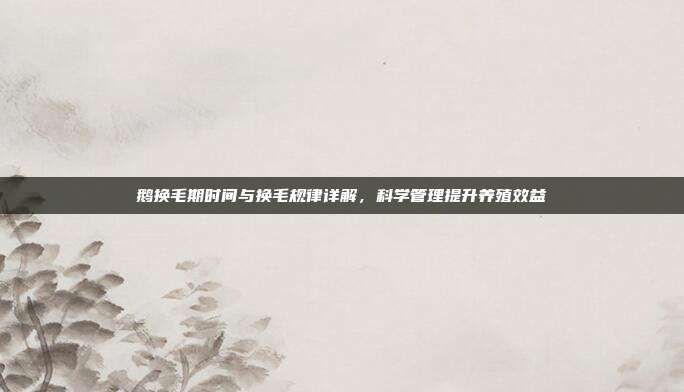 鹅换毛期时间与换毛规律详解，科学管理提升养殖效益