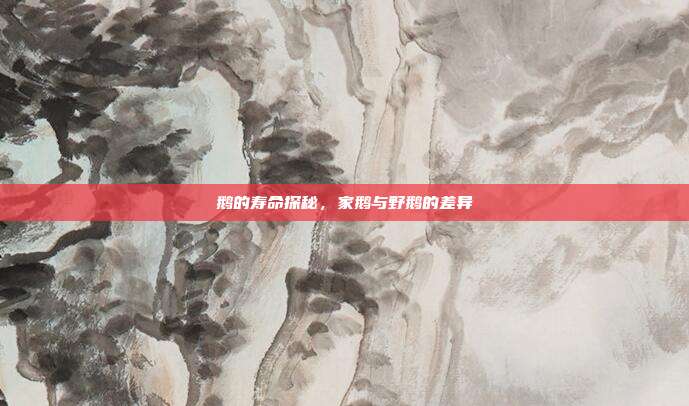 鹅的寿命探秘，家鹅与野鹅的差异