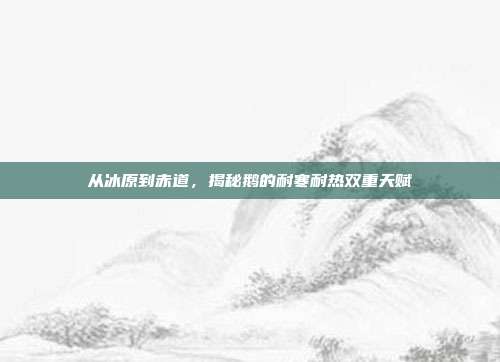 从冰原到赤道，揭秘鹅的耐寒耐热双重天赋
