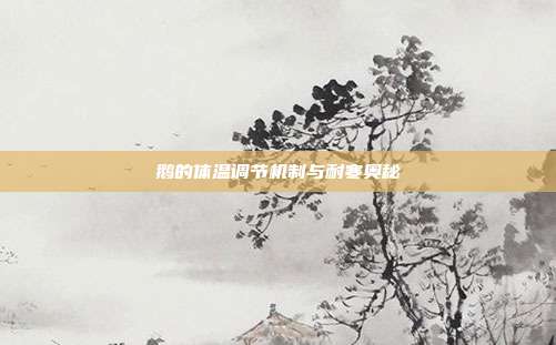 鹅的体温调节机制与耐寒奥秘