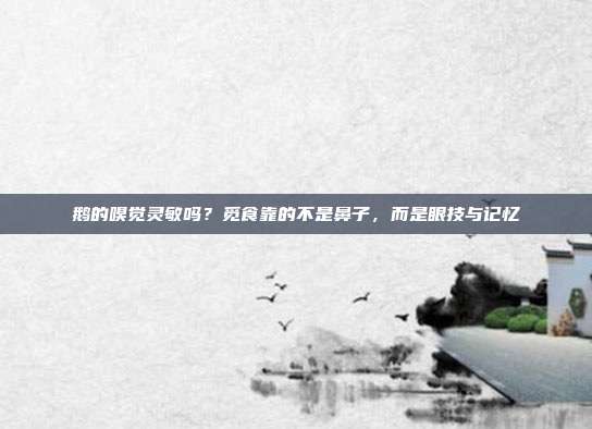 鹅的嗅觉灵敏吗？觅食靠的不是鼻子，而是眼技与记忆