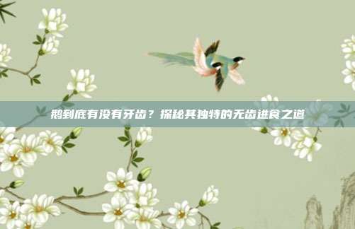 鹅到底有没有牙齿？探秘其独特的无齿进食之道