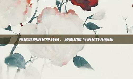 揭秘鹅的消化中转站，嗉囊功能与消化作用解析