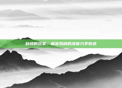 自然的双桨，解密鹅蹼的流体力学奇迹