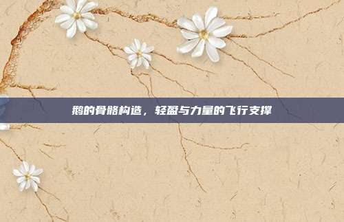 鹅的骨骼构造，轻盈与力量的飞行支撑