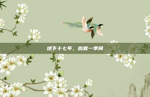 地下十七年，鸣夏一季间