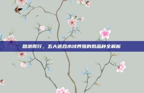 踏浪而行，五大适合水域养殖的鹅品种全解析