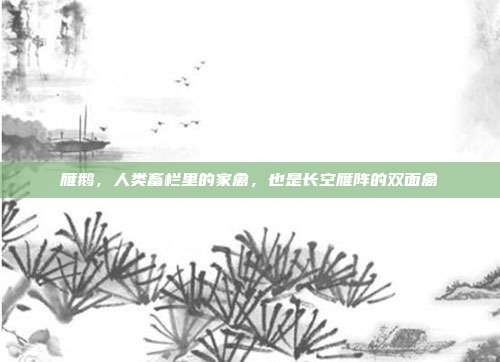 雁鹅，人类畜栏里的家禽，也是长空雁阵的双面禽