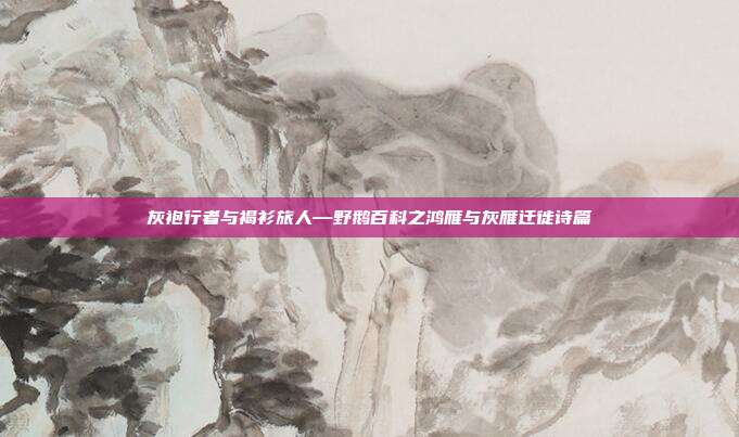 灰袍行者与褐衫旅人—野鹅百科之鸿雁与灰雁迁徙诗篇