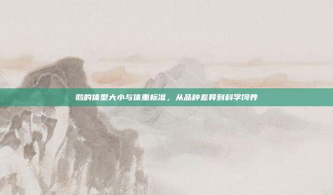 鹅的体型大小与体重标准，从品种差异到科学饲养