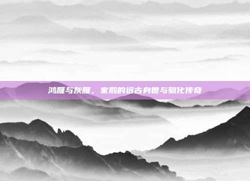 鸿雁与灰雁，家鹅的远古身世与驯化传奇