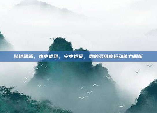 陆地蹒跚，水中优雅，空中远征，鹅的多维度运动能力解析