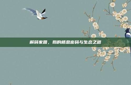 解码家园，鹅的栖息密码与生态之道