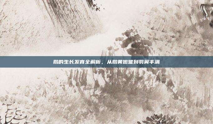 鹅的生长发育全解析，从鹅黄嫩雏到羽翼丰满