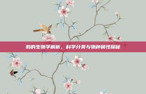 鹅的生物学解析，科学分类与物种属性探秘