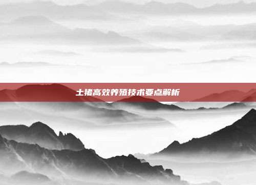 土猪高效养殖技术要点解析