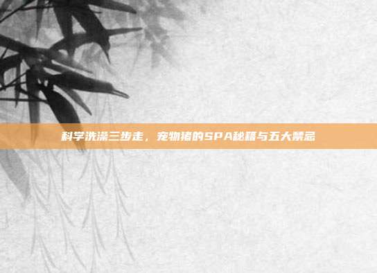 科学洗澡三步走，宠物猪的SPA秘籍与五大禁忌
