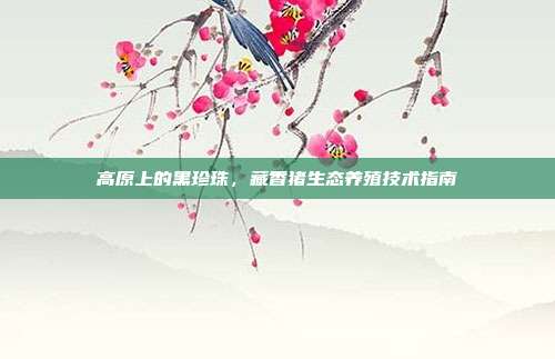 高原上的黑珍珠，藏香猪生态养殖技术指南