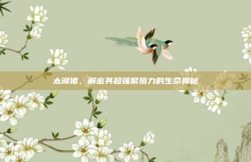 太湖猪，解密其超强繁殖力的生命奥秘