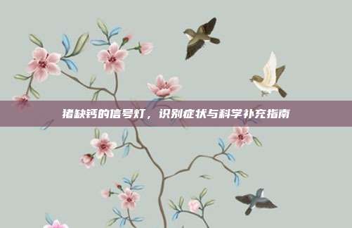 猪缺钙的信号灯，识别症状与科学补充指南