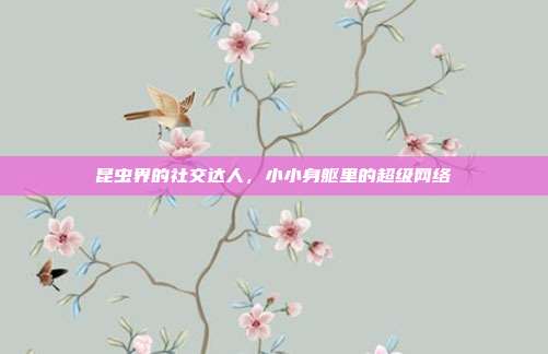 昆虫界的社交达人，小小身躯里的超级网络