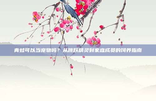 青蛙可以当宠物吗？从跳跃精灵到家庭成员的饲养指南